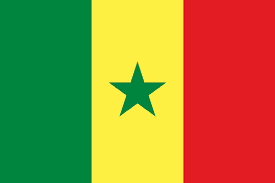 Flag SN